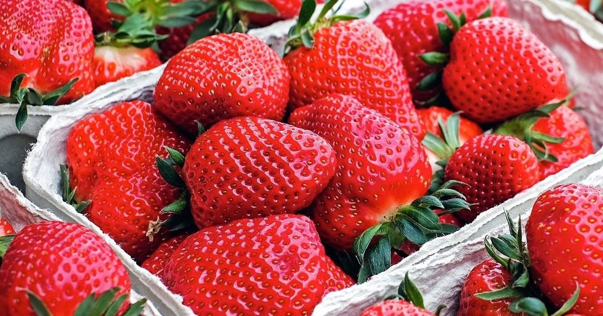 papilles et pupilles e1610106887880.jpg?resize=412,232 - Carrefour : Il n'y aura plus de fraises en janvier
