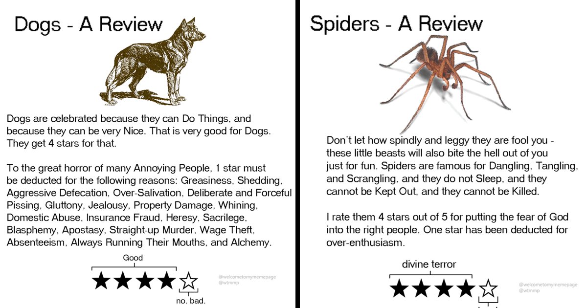 sssssssss.jpg?resize=412,275 - You Won’t Believe These Hilarious Reviews That Rate Animals For Odd Reasons