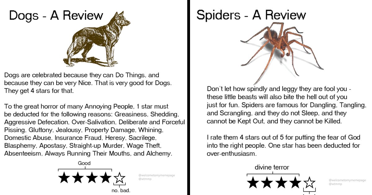 sssssssss.jpg?fit=1024%2C538&ssl=1&strip=all - You Won’t Believe These Hilarious Reviews That Rate Animals For Odd Reasons