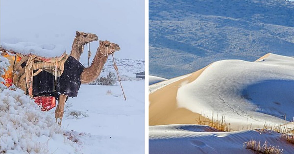 titulo 22 1.png?resize=1200,630 - Desierto Del Sahara Quedó Cubierto De Nieve Después De Que Temperaturas Cayeron A -2° C