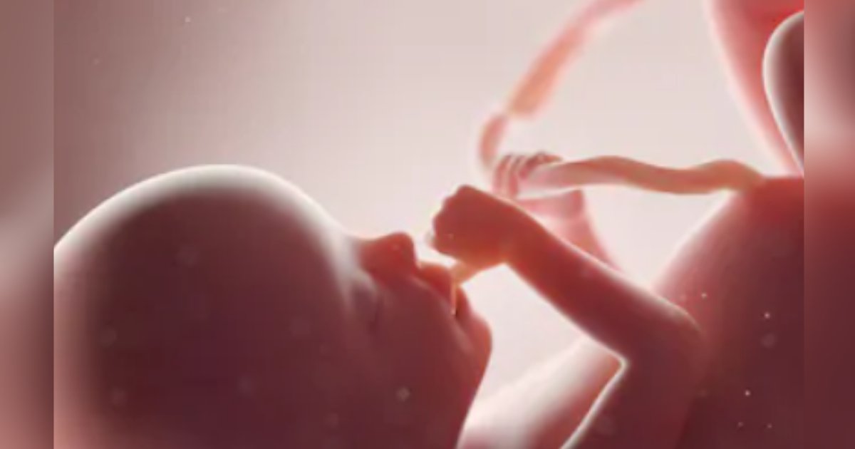 titulo 6.png?resize=1200,630 - Estudio Reveló Restos De Plástico En Placentas De Mujeres Embarazadas Con Bebés Por Nacer