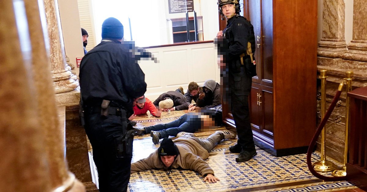 trtty.jpg?resize=412,232 - NY Businessman Arrested During DC Riots Says Detainees Were Treated Like 'Animals'