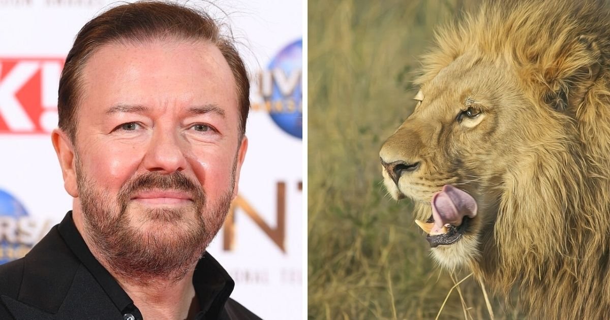 untitled design 5 2.jpg?resize=1200,630 - Ricky Gervais Wants His Body To Be Eaten By Lions After He Dies