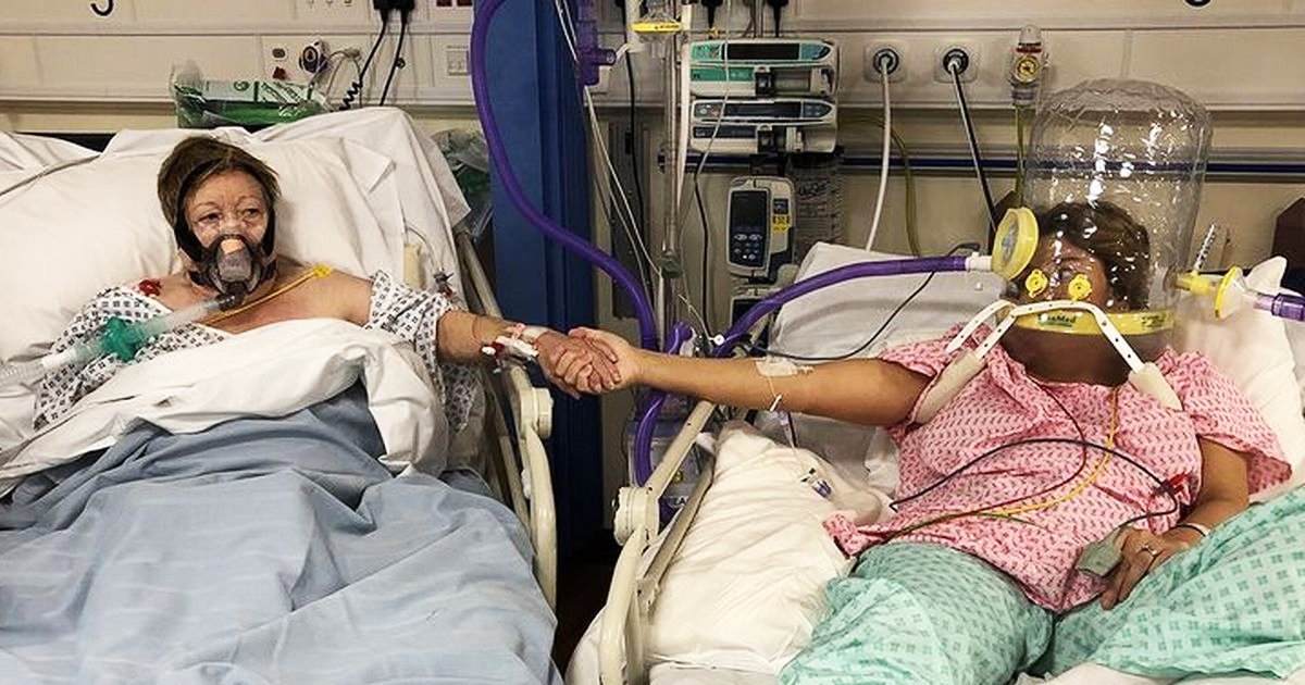 wfsfs.jpg?resize=1200,630 - COVID Infected Mom & Daughter Hold Hands In ICU Moments Before Mum Dies