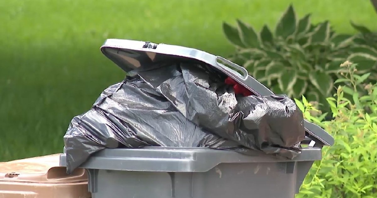 3 poubelle.jpg?resize=1200,630 - Val-d'Oise: le corps d'un nouveau-né a été retrouvé dans un sac-poubelle