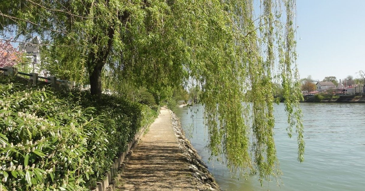 Val de Marne le corps d un homme a été repêché dans la Marne avec les