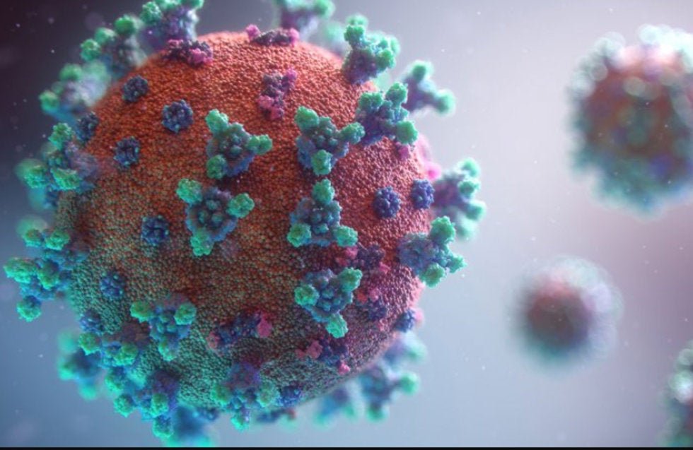 Resultado de imagen de coronavirus gracias a un anticuerpo clave en una infección de 2003
