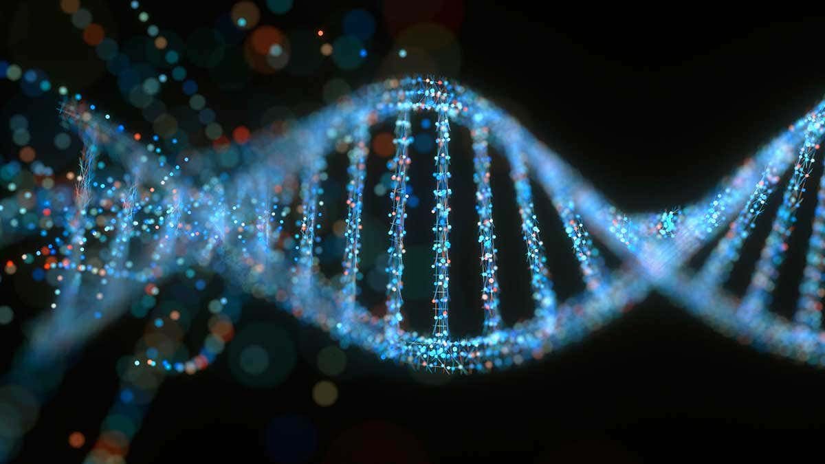 ancestry DNA horror stories