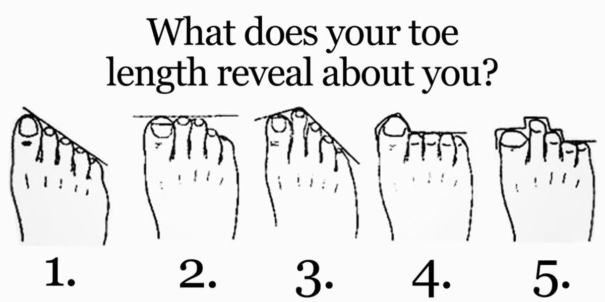 toe length meanings