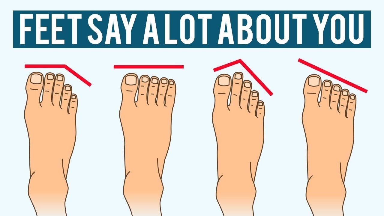 toe length meanings