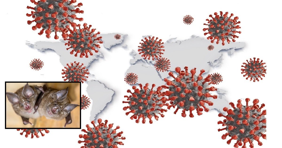6 corona.jpg?resize=1200,630 - Pandémie: un virus très proche du Covid-19 circulait déjà en 2010 au Cambodge
