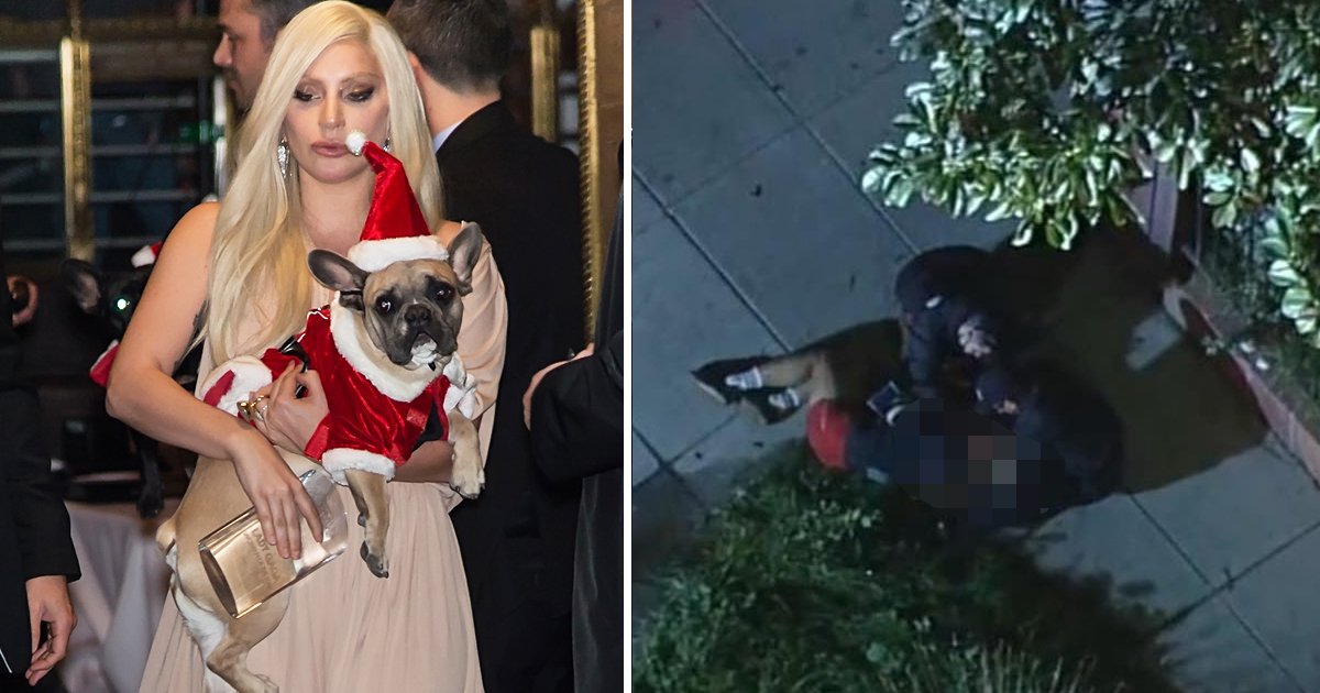 agggag.jpg?resize=1200,630 - Lady Gaga's Dog Walker Shot 4 Times In Chest By 'Hollywood Dognappers'