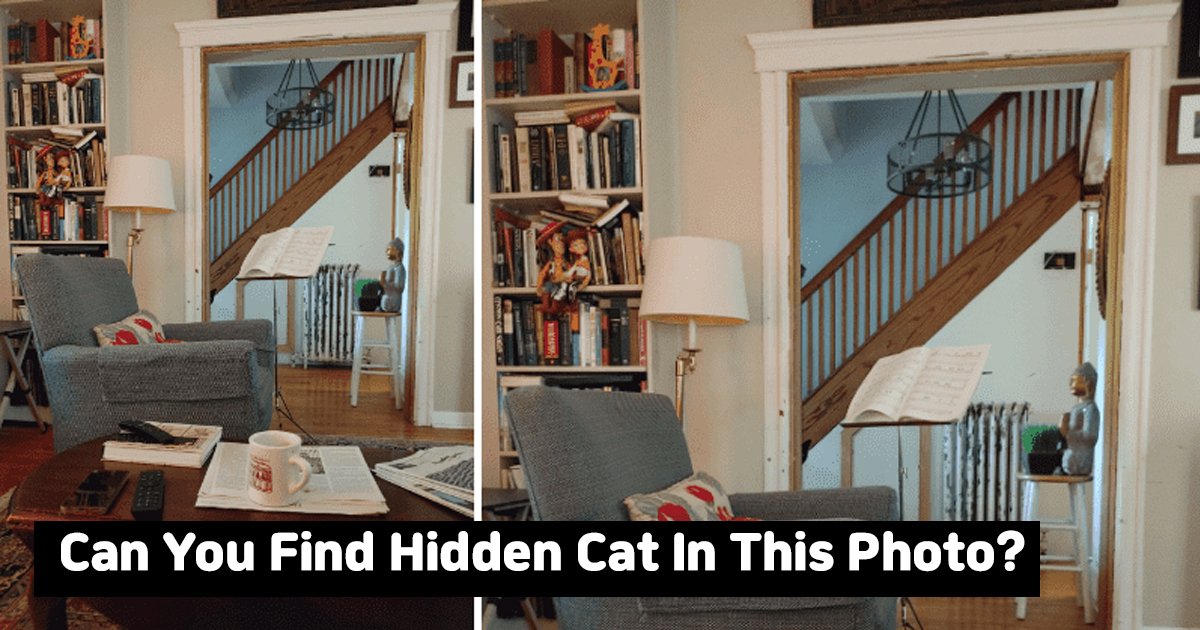 agggga.jpg?resize=412,232 - Can You Find The Cat Hidden In This Viral Picture?