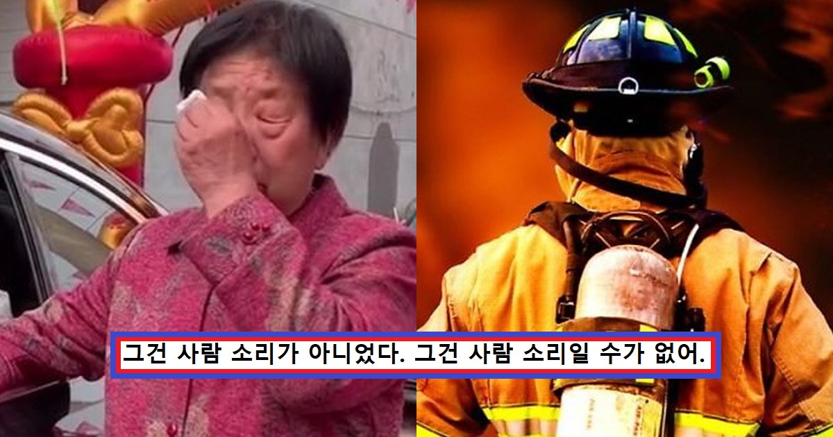 ec82aceab3a0 ec8db8eb84a4ec9dbc2.png?resize=412,275 - "사람이 낼 수 있는 소리가 아니다.."...소방관이 말하는 자식이 죽었을 때 부모가 우는 모습.jpg