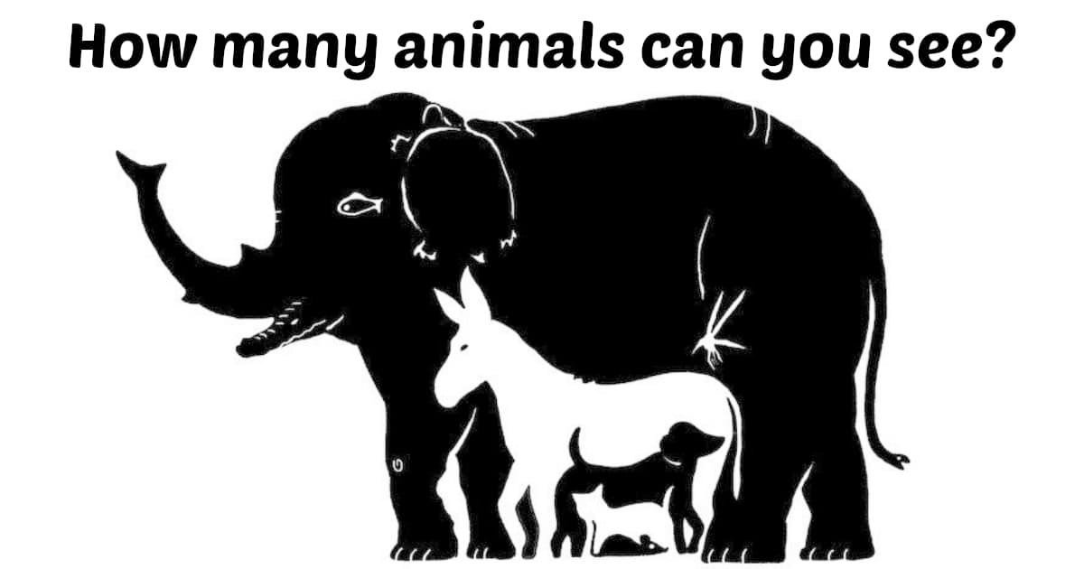 fggg.jpg?resize=412,232 - How Many Animals Can You See?