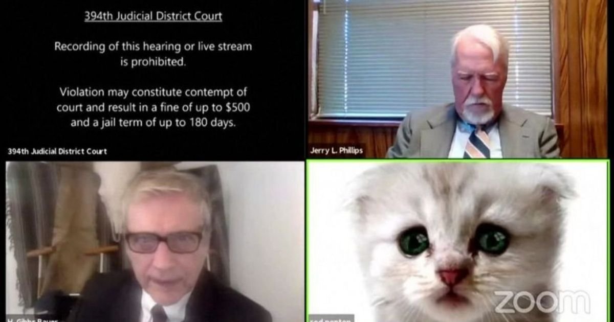 filter4.jpg?resize=1200,630 - 'Can You Hear Me Judge?' Lawyer Struggles To Remove Cat Filter During Online Court Hearing