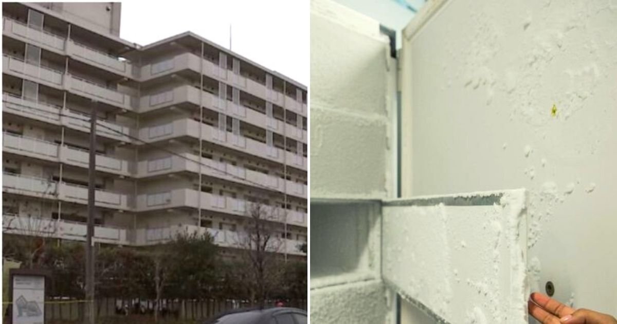 freezer5.jpg?resize=412,232 - Woman Arrested For Keeping Mother's Remains In Freezer At Their Apartment For 10 Years