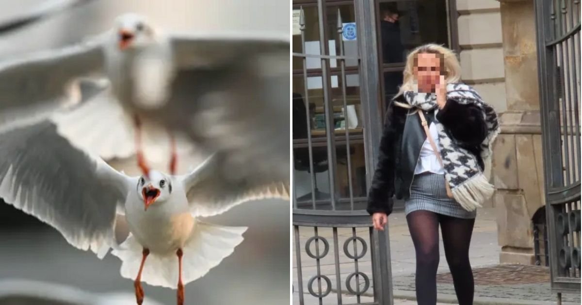 tongue5.jpg?resize=412,232 - Seagull Flies Off With A Part Of Man's Tongue After Woman Bites It Off During Street Fight