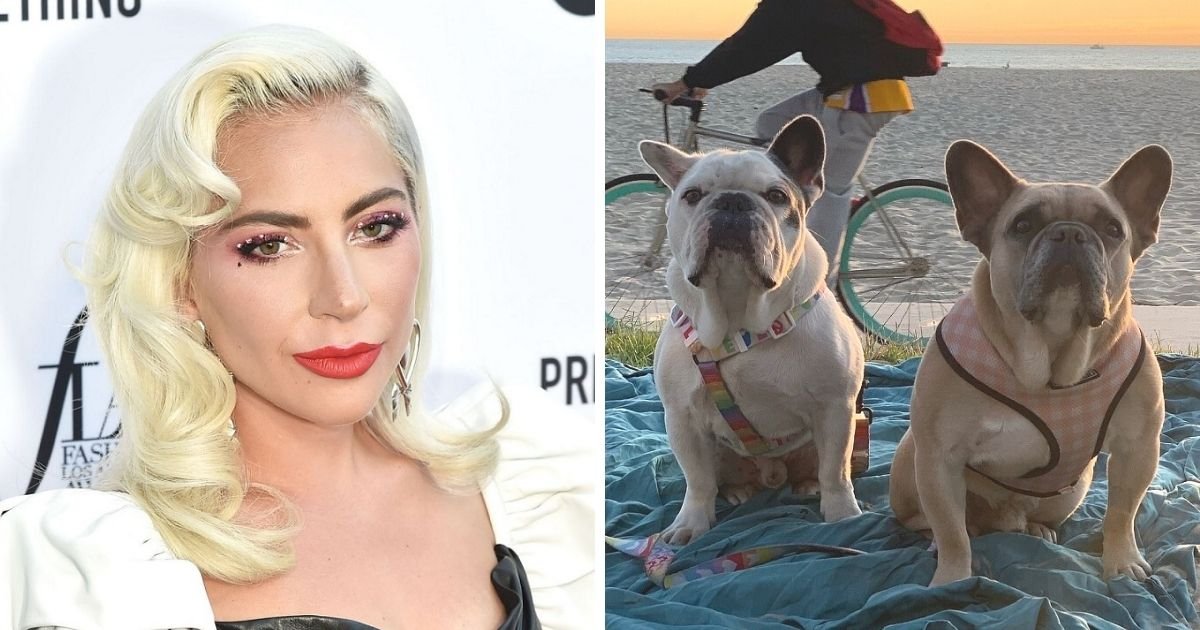 untitled design 3 9.jpg?resize=1200,630 - Lady Gaga Breaks Silence And Pays A Tribute To Her Dog Walker After Her Bulldogs Get Snatched