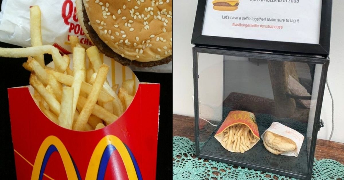 1 172.jpg?resize=412,232 - After 10 Years Of Safe Keeping, McDonald’s Cheeseburger & Fries Are Still ‘Fresh’