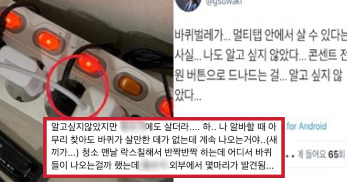 2cba8856 e150 47bd bc0a 24d855490f30.jpeg?resize=412,275 - 자취생들 생존멘탈 와장창 깨부수는 자취방 벌레 경험담 모음.jpg
