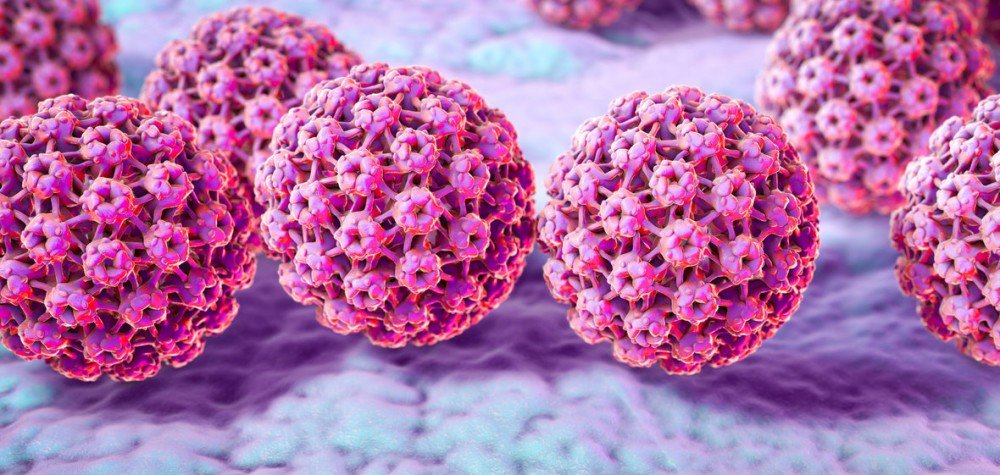 곤지름을 일으키는 인유두종바이러스(HPV)과 백신 > 블로그 | 박언비뇨기과피부과