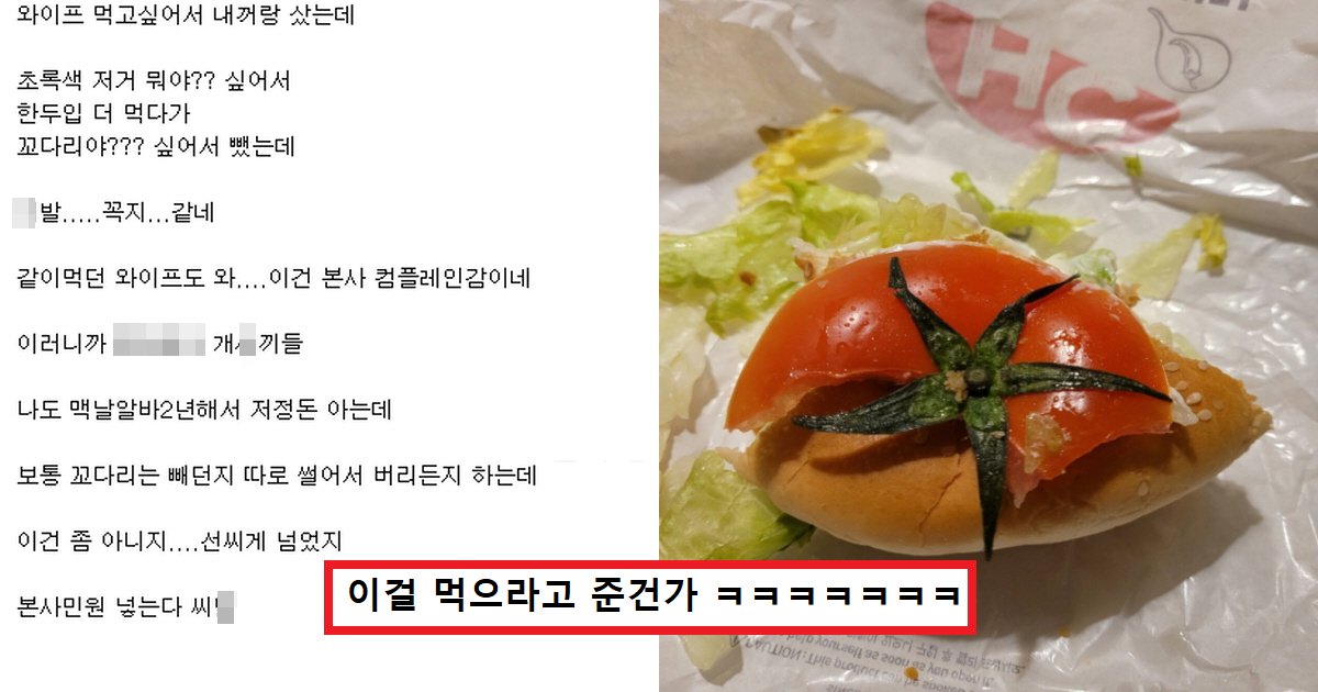 assaassa.png?resize=412,275 - "햄버거 먹다가 토마토 꼭지 가 나왔습니다 제 꼭지가 돌아버릴 것 같은데 어떻게 해야 할까요?"(+사진)