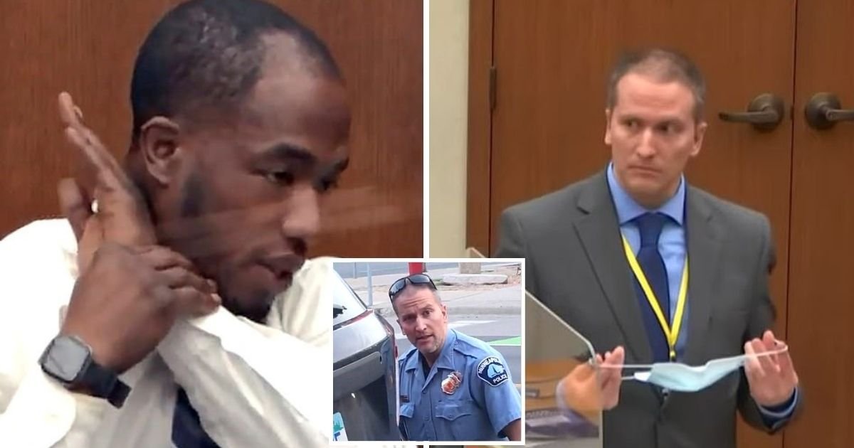 chauvin.jpg?resize=1200,630 - Derek Chauvin Stands Trial: Third Witness Says Former Cop Used ‘Blood Choke’ Technique To Cut Off George Floyd's Air Circulation