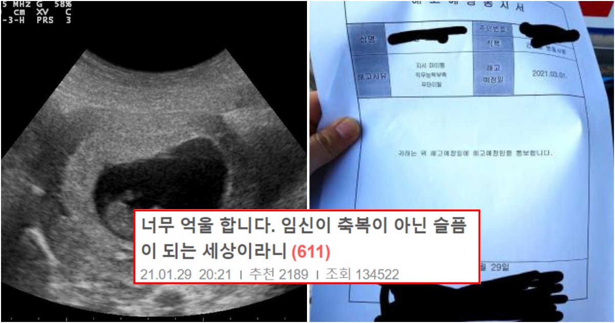 collage 1.png?fit=1024%2C538&ssl=1&strip=all - 이제 임신이 축복이 아닌 슬픔이 되는 요즘 대한민국 현실