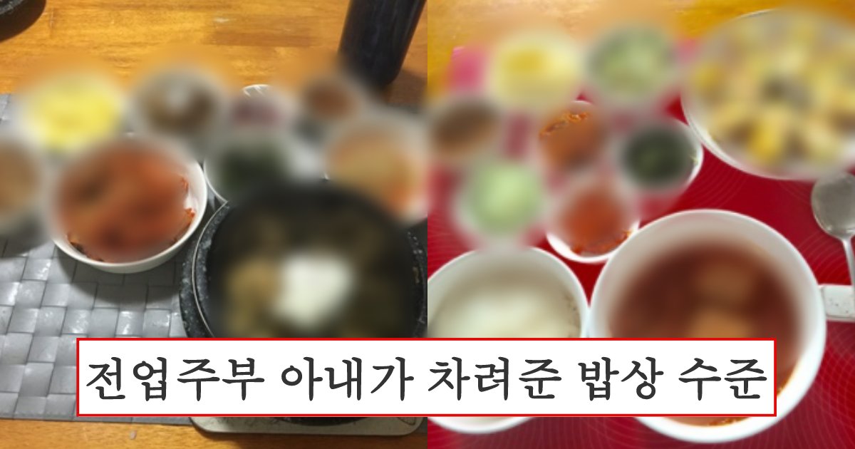 collage 122.png?fit=1024%2C538&ssl=1&strip=all - 이혼 마렵게 한다는 전업주부 아내가 힘들게 돈 벌어온 남편에게 차려준 저녁 밥 수준