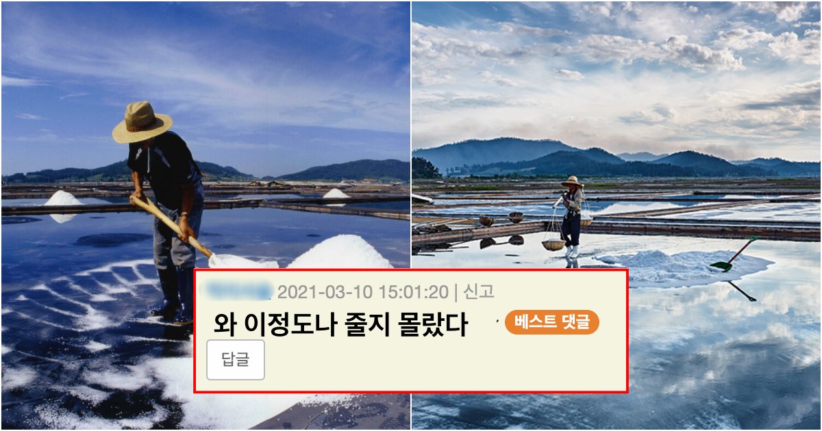 collage 29.png?resize=412,275 - 그저 놀랍다는 말만 나온다는 신안 염전 노동자들이 받는 평균 연봉