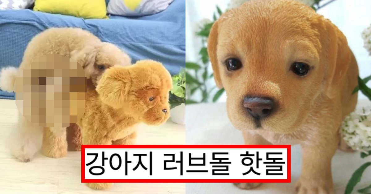 collage 96.png?resize=1200,630 - “강아지 위에 올라타서 붕ㄱr…” 네티즌들 사이에서 논란되고 있는 강아지 성욕 해결해주는 ‘강아지 러브돌’