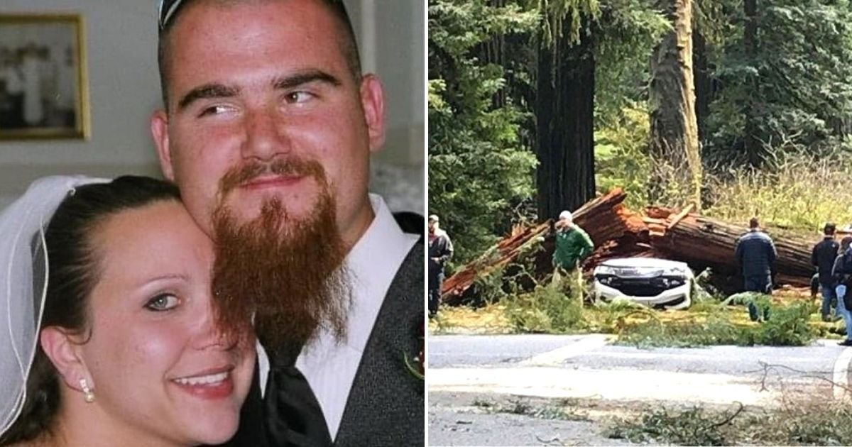 couple5.jpg?resize=1200,630 - Five Children Orphaned After A 175ft Tree Falls On Top Of Their Parents' Car In A Horrifying Accident