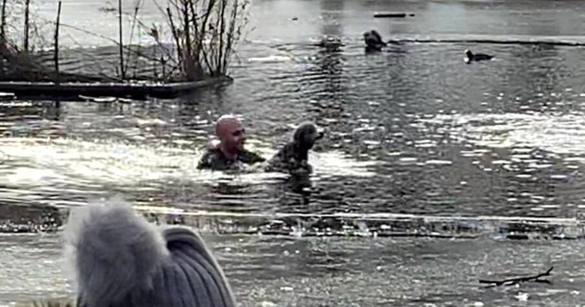 dog4.jpg?resize=412,232 - Man Jumps Into Icy Waters To Save A Puppy Stranded In The Frozen Pond