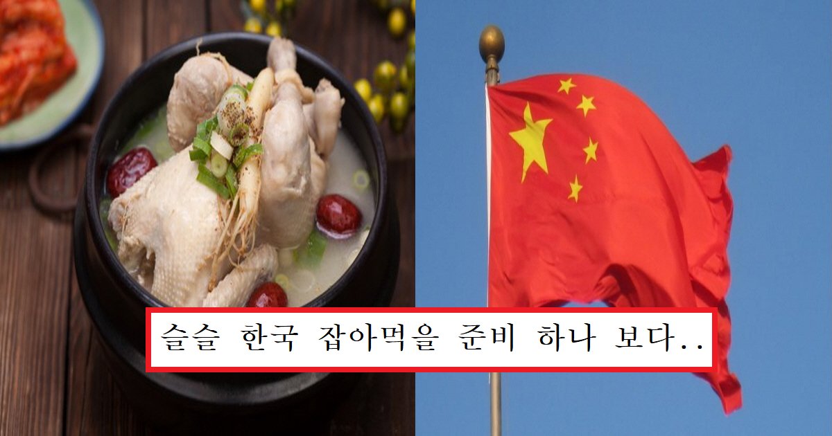 eab384ed8395ec9db4.png?resize=412,275 - 中 "삼계탕은 중국 광둥식 요리"..한복, 김치에 이어서 삼계탕까지 뺏어가는 중국