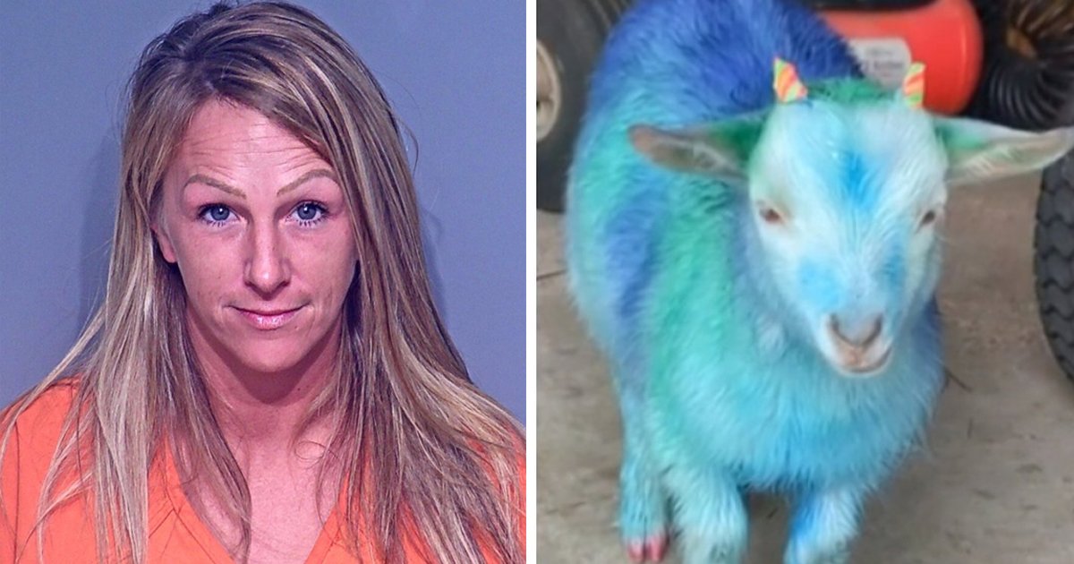 ggssgsg.jpg?resize=1200,630 - Woman Thrown In Jail For Stealing Neighbor's Goat & Painting It Blue