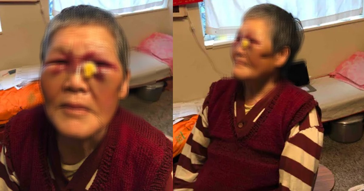 grandma thumbnail.png?resize=1200,630 - Asian Elder Gets $600K In Donations After Fighting Off Attacker
