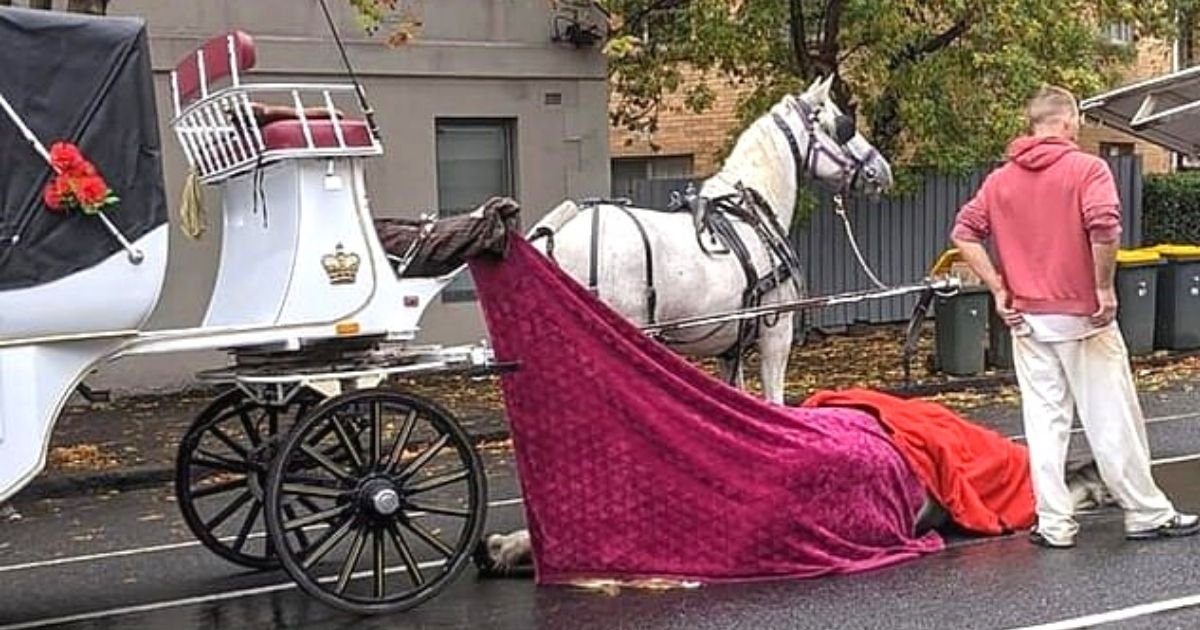 horse5.jpg?resize=1200,630 - Horse Tragically Died After Collapsing On The Street While Pulling A Carriage
