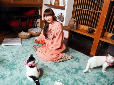 中川翔子 うわあああああ さいあく 猫に顔を引っ掻かれ ひっかき傷は跡が残る すぐに皮膚科に Hachibachi 中川翔子 うわあああああ さいあく 猫に顔を引っ掻かれ ひっかき傷は跡が残る すぐに皮膚科に Hachibachi
