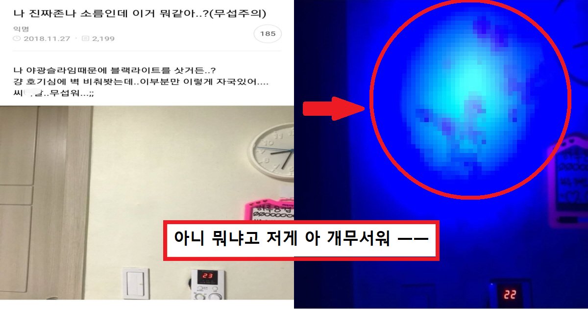 kjjk.png?resize=412,275 - "집 벽에 처음 보는 핏자국이 있습니다"..집에서 블랙라이트 꼭 써봐야 하는 '충격' 이유(+사진)