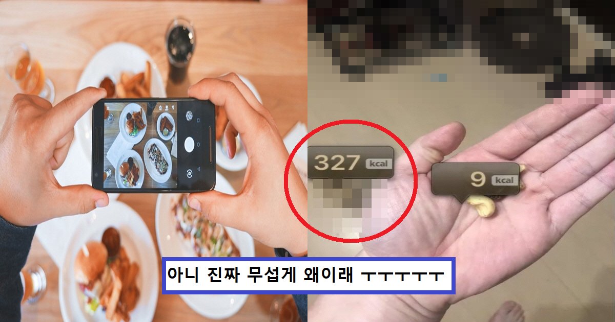 r3233232.png?resize=412,275 - "여러분들 이게 왜 327칼로리죠?"..음식 사진 칼로리 알려주는 어플에 찍힌 충격적인 '이것'