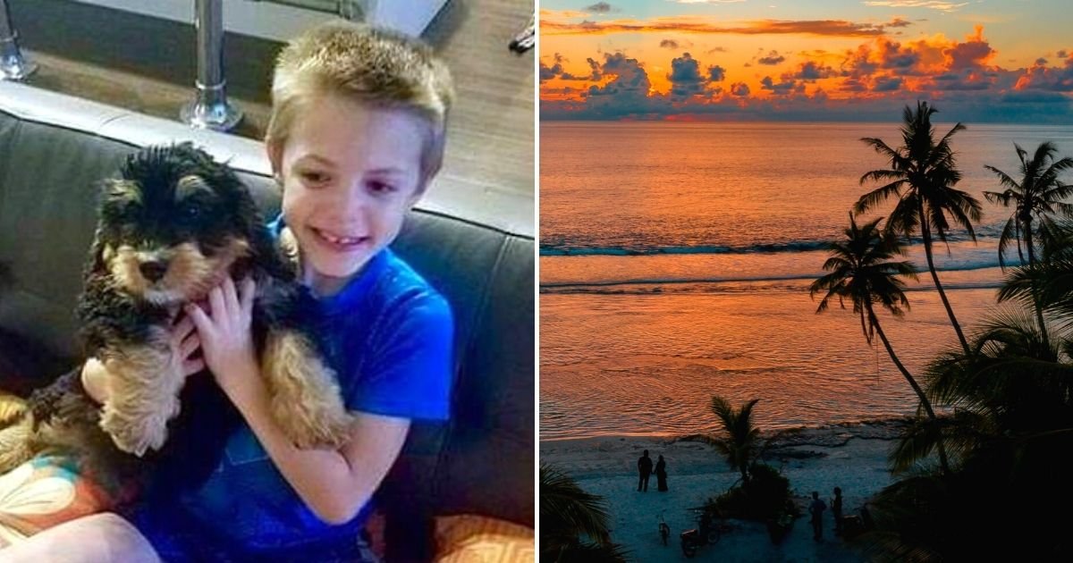 shark5.jpg?resize=412,232 - 9-Year-Old Boy Was Mauled By A SHARK In Waist-Deep Water At A Beach In Florida