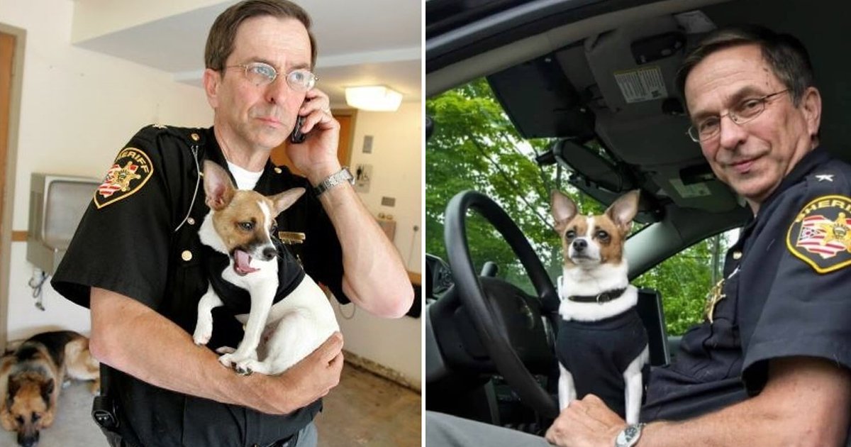 111.jpg?resize=412,275 - Ohio Sheriff Who Died Hours Apart From Police Chihuahua Partner Will Now Be Buried Together