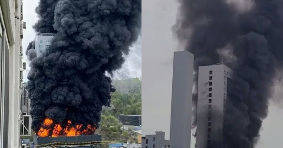 collage 263.png?resize=412,232 - [속보] 남양주 오피스텔 화재 건물서 1명 추락해서 사망했다