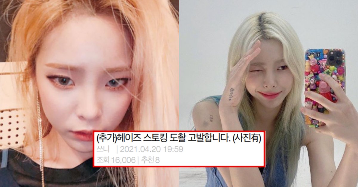 collage 310.png?fit=1024%2C538&ssl=1&strip=all - “가수 헤이즈를 고발합니다”… 헤이즈한테 스토킹 및 도촬 당했다고 일반인이 싹 다 폭로한 현재 상황 (+사진)