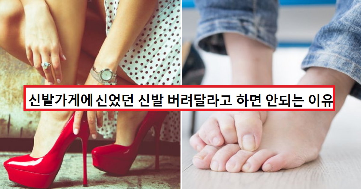 eca09cebaaa9 ec9786ec9d8c 19.png?fit=1024%2C538&ssl=1&strip=all - 신발가게에 신었던 신발 버리면 안되는 '소름 끼치는' 이유