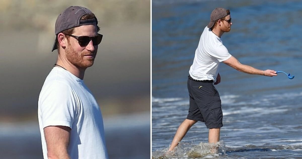harry6.jpg?resize=412,232 - Prince Harry Hits The Beach With His Rescue Dog As He Settles Into LA Lifestyle