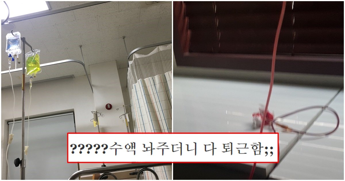 page 314.jpg?fit=1024%2C538&ssl=1&strip=all - "몸 안좋아서 수액 맞고 있었는데 병원 직원들 다 퇴근하고 혼자 남았어요.."