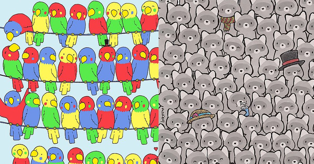 puzzle thumb.png?resize=1200,630 - Cute Birds And Raccoons Brainteaser: Will YOU Be Able To Solve BOTH Puzzles?
