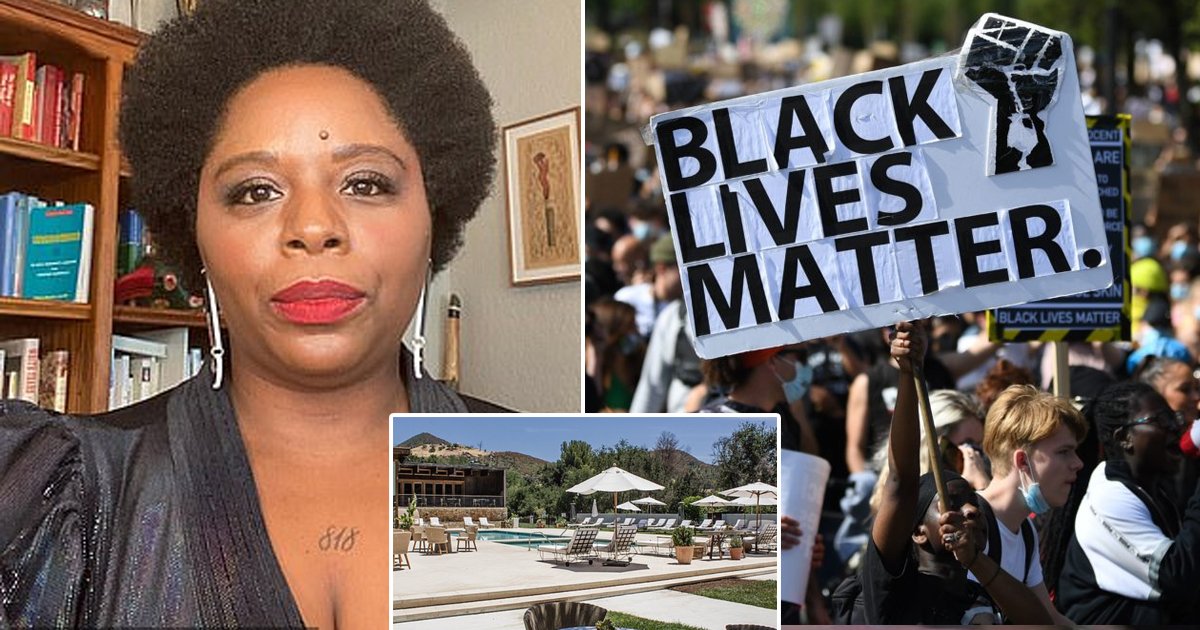 t2 1 1.jpg?resize=412,275 - "BLM Must Stand For Babes Lounging In Malibu"- Megyn Kelly Blasts BLM Founder For Luxury Spending